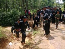 Sebanyak 68 siswa PSHT Sukses Mengikuti UKS Ranting peninjauan Cabang OKU