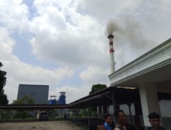 Debu dan Asap Pabrik PLTU Baturaja Sebabkan Gangguan Kesehatan Warga Desa Terusan