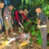 Dendam Lama Berujung Maut, Seorang petani meninggal di Ulu Ogan