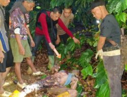 Dendam Lama Berujung Maut, Seorang petani meninggal di Ulu Ogan